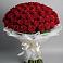 Букет 101 Красная роза Блэк Мэджик в Малиновом озере