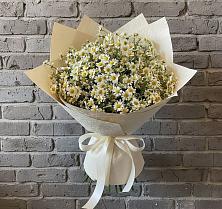 Букет цветов из:  Ромашки в Малиновом озере
