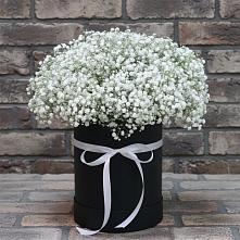 Цветочная композиция из Гипсофила в шляпной коробке #REPLACE_PRED# Малиновом озере