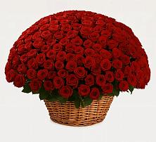 Премиум букет из: Розы в Малиновом озере